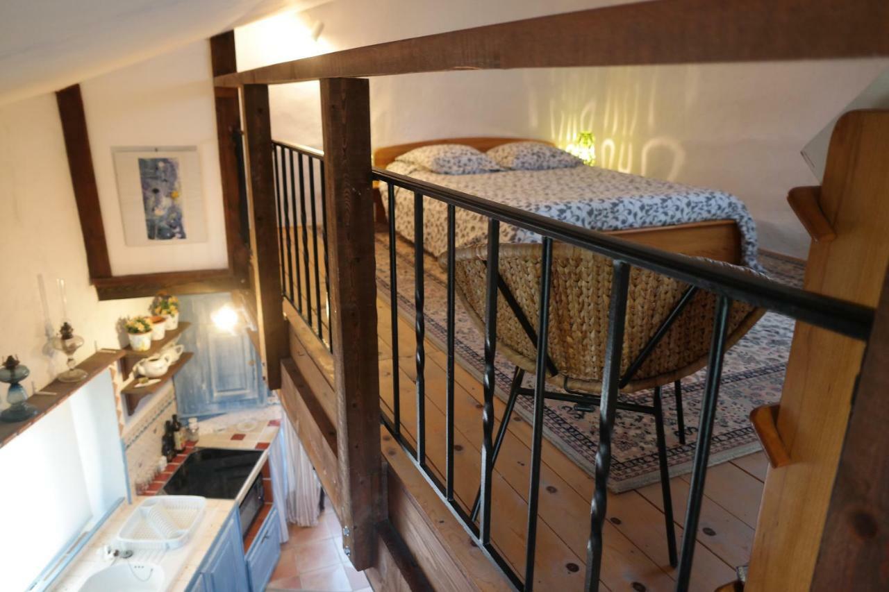 Au Pied Du Chateau Greolieres les Neiges Luaran gambar