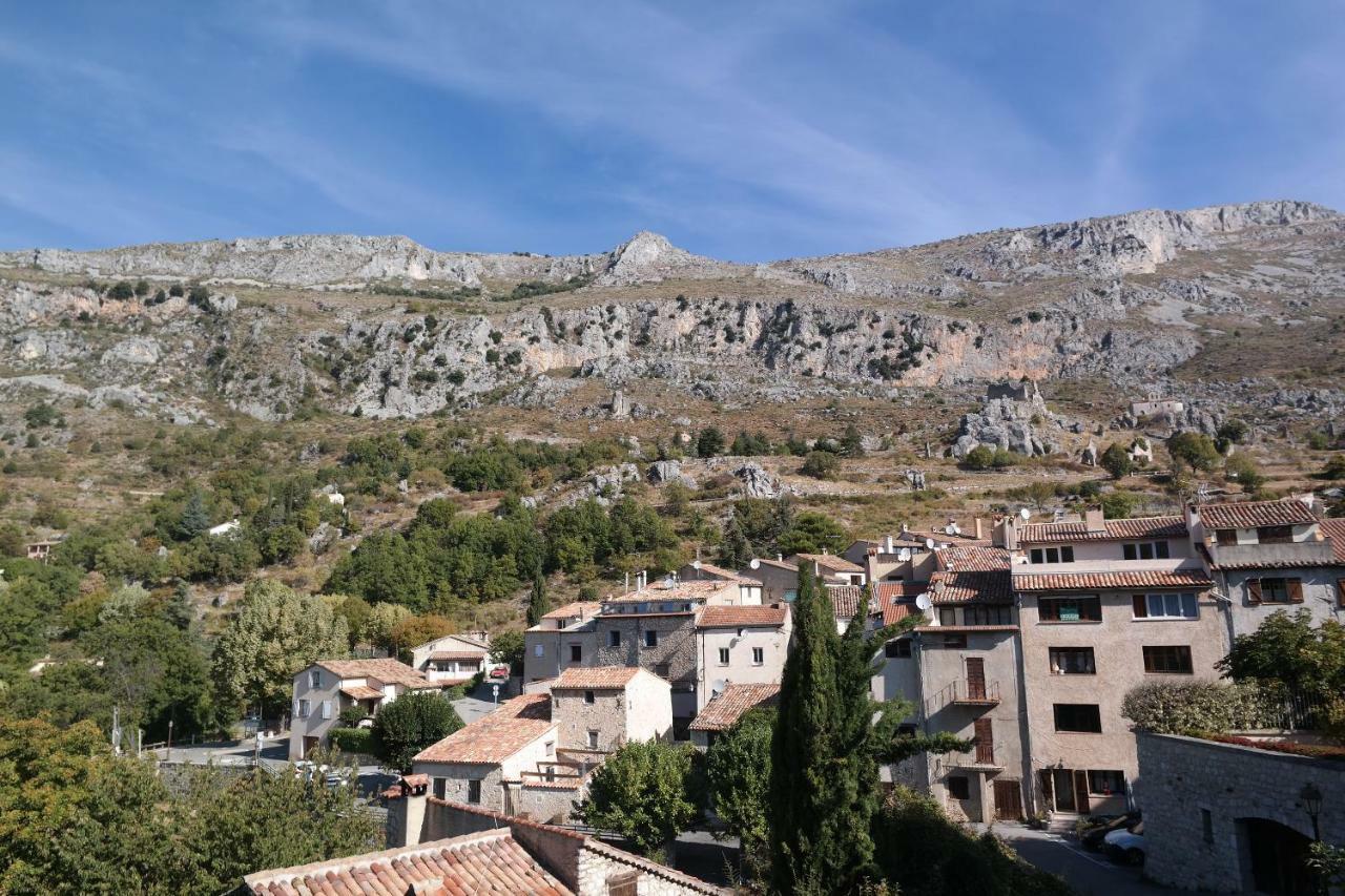 Au Pied Du Chateau Greolieres les Neiges Luaran gambar