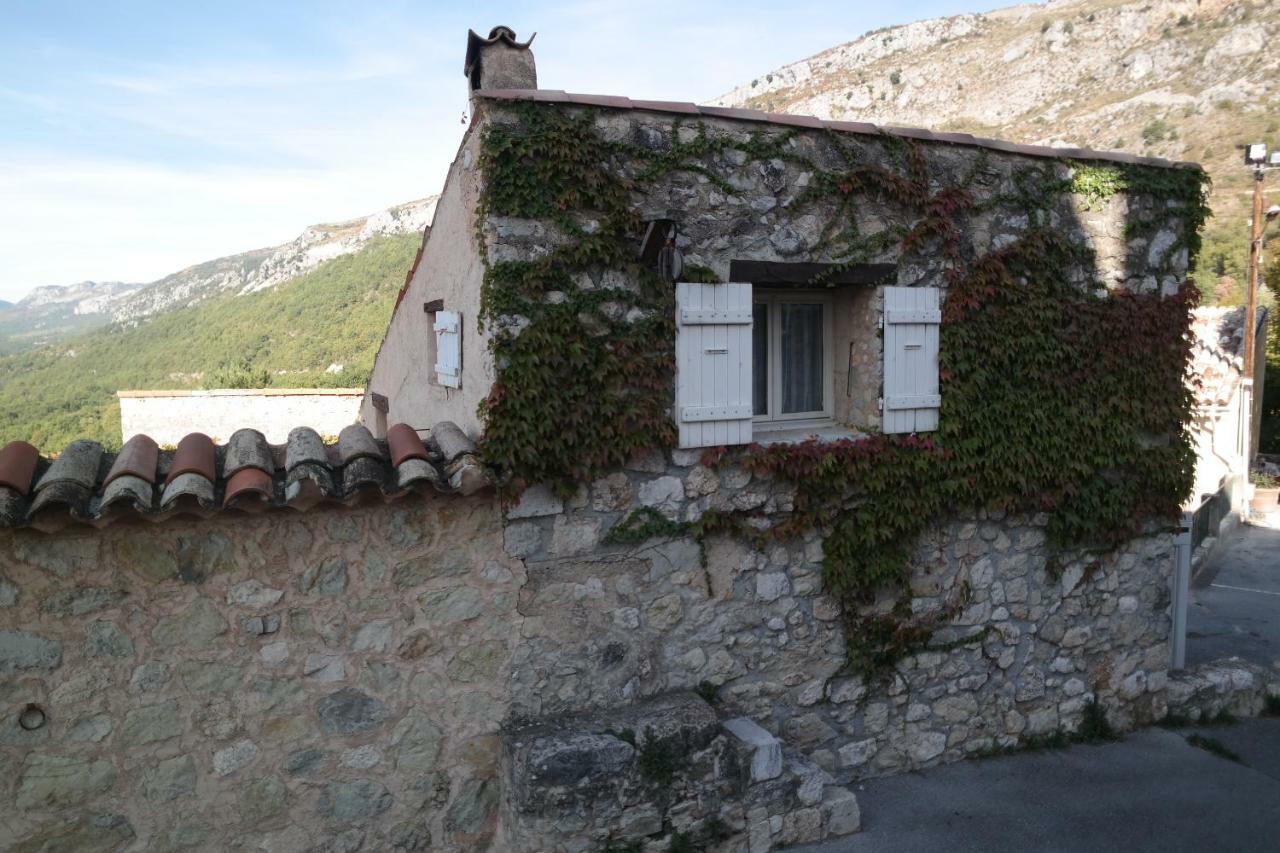 Au Pied Du Chateau Greolieres les Neiges Luaran gambar