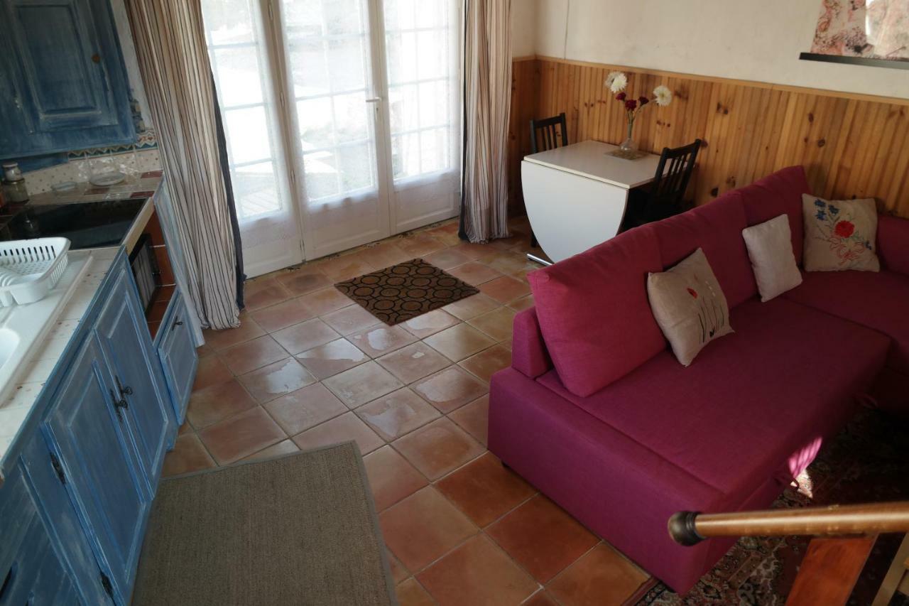 Au Pied Du Chateau Greolieres les Neiges Luaran gambar